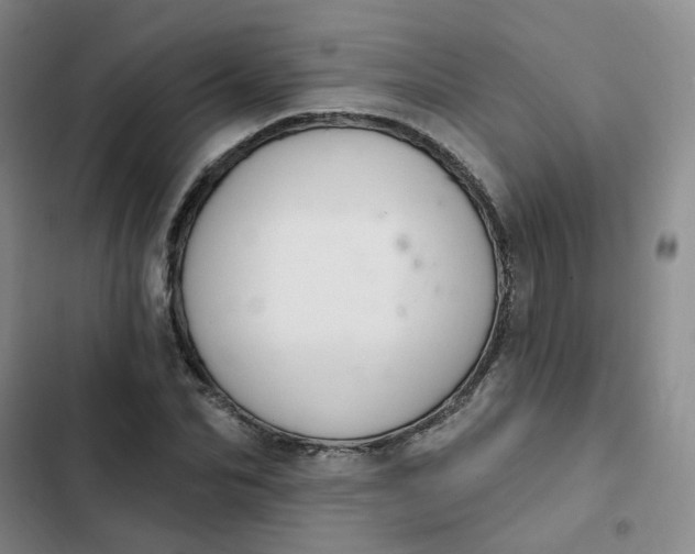 X0000102500974200808221750