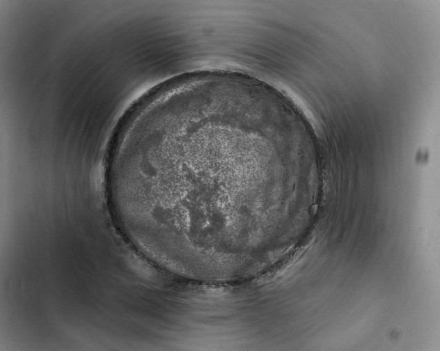 X0000102500975200808221750