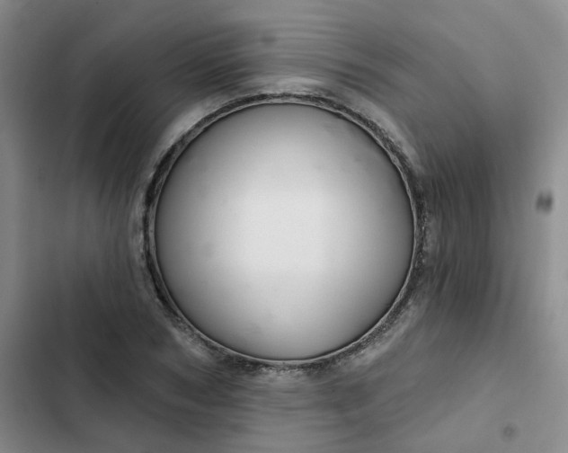 X0000102500978200808221750