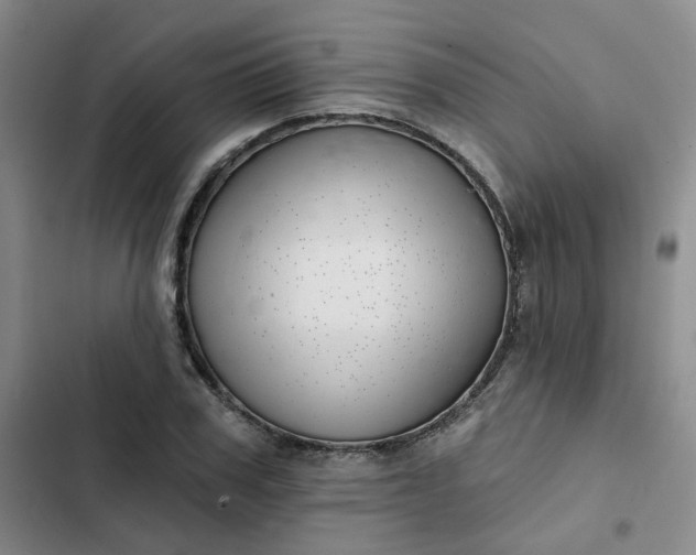 X0000102500979200808221750