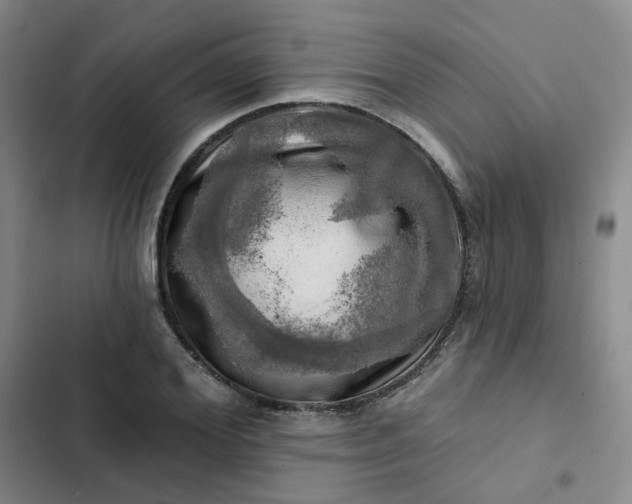 X0000102500980200808221750