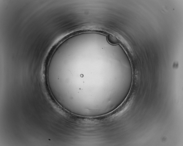 X0000102500981200808221750