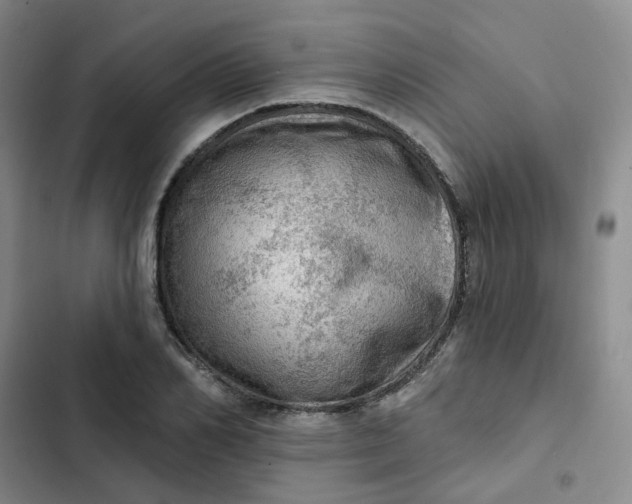 X0000102500982200808221750