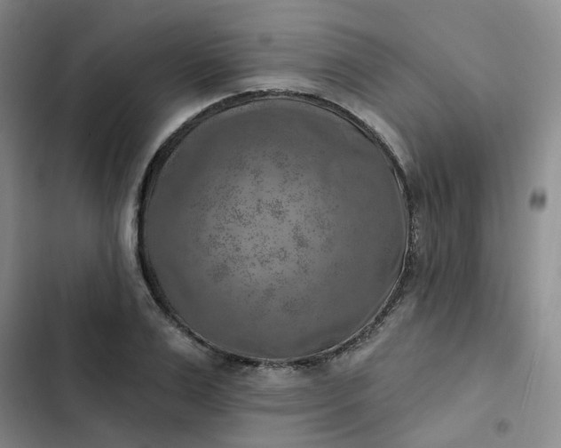 X0000102500983200808221750