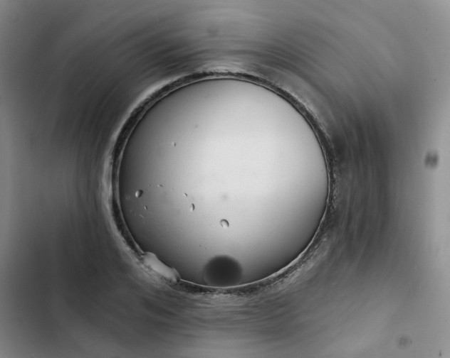 X0000102500984200808221750