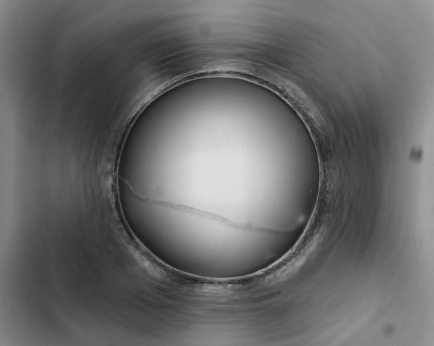 X0000102500985200808221750