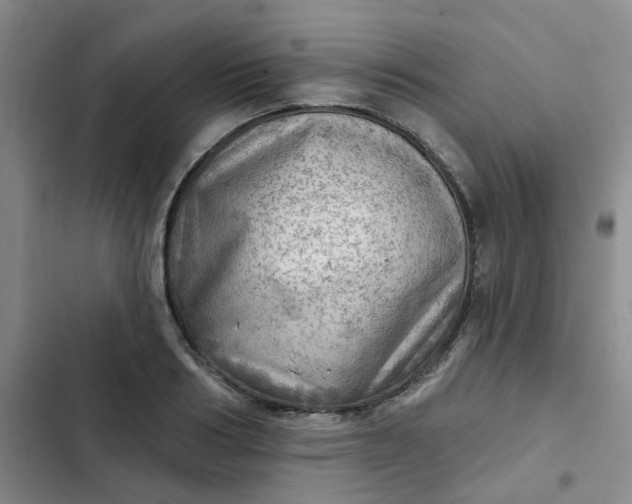 X0000102500986200808221750