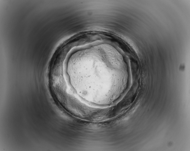 X0000102500987200808221750