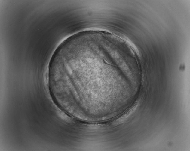 X0000102500988200808221750