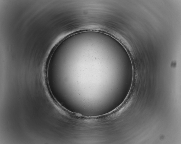 X0000102500989200808221750