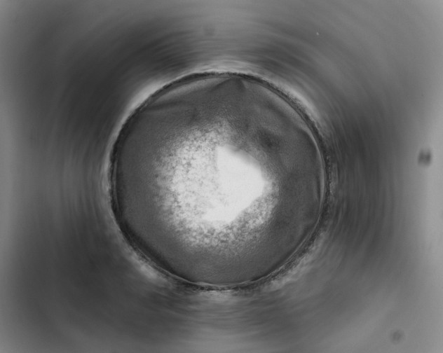 X0000102500990200808221750