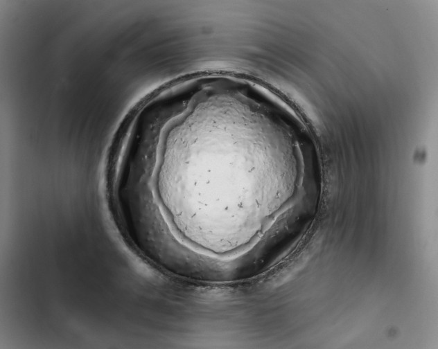 X0000102500991200808221749