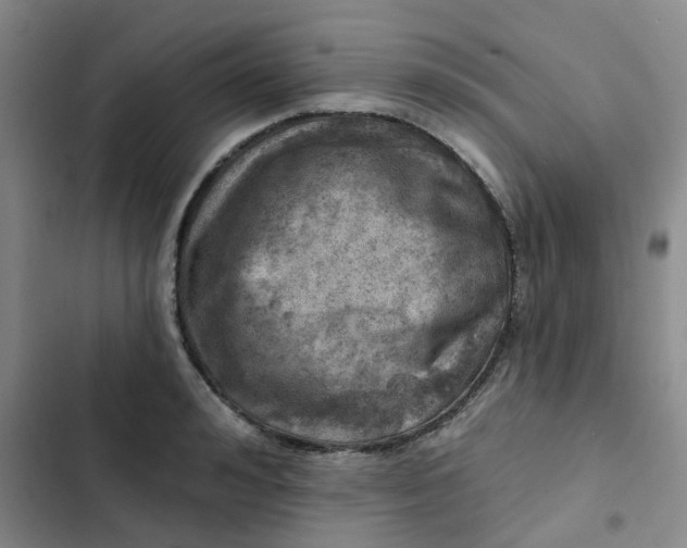 X0000102500992200808221749