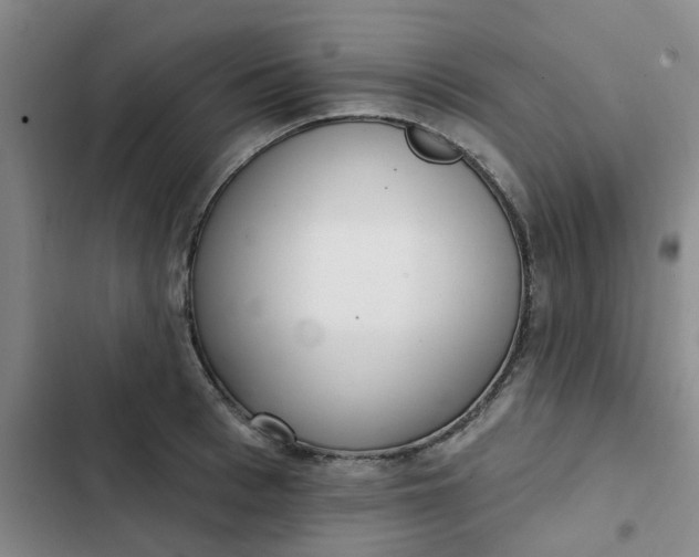 X0000102500993200808221749