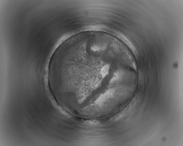 X0000102500994200808221749