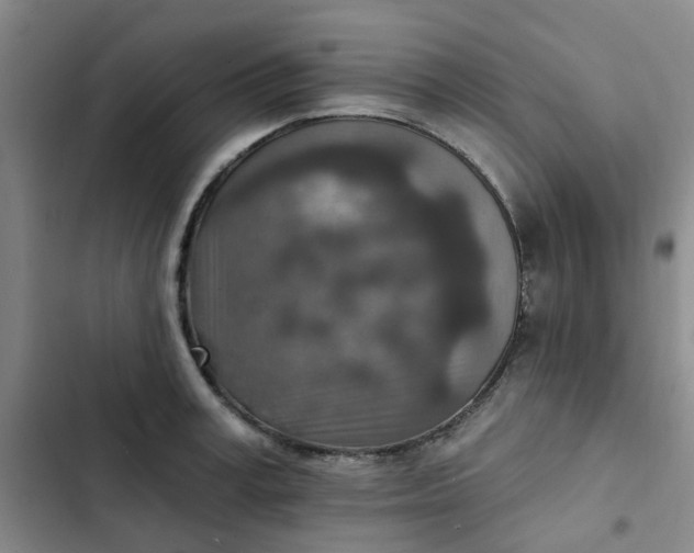 X0000102500995200808221749