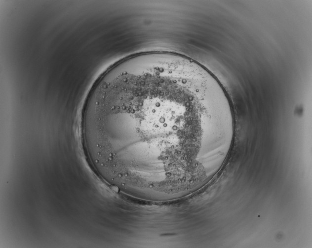 X0000102500996200808221749