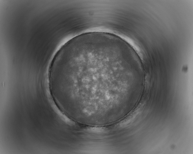 X0000102500998200808221749