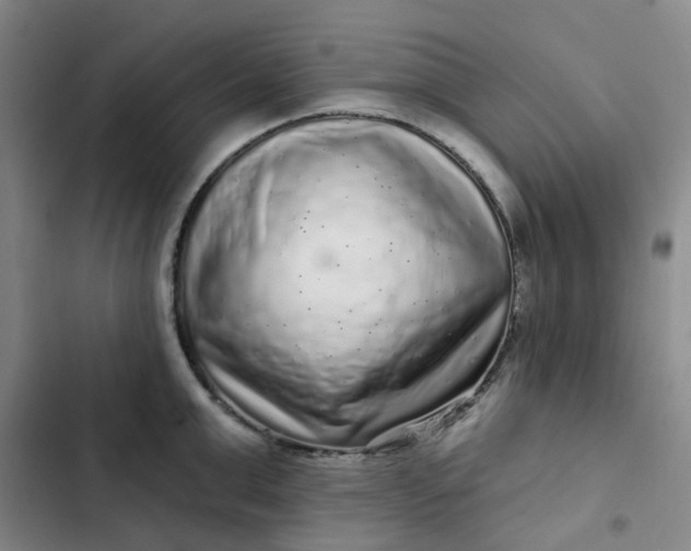 X0000102500999200808221749