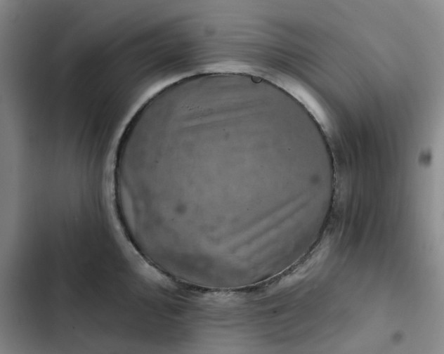 X0000102501000200808221749