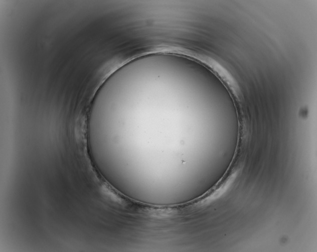 X0000102501001200808221749