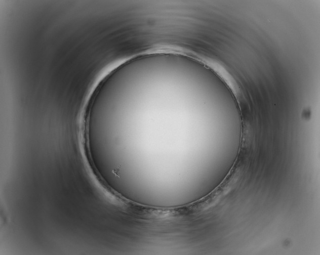 X0000102501003200808221749