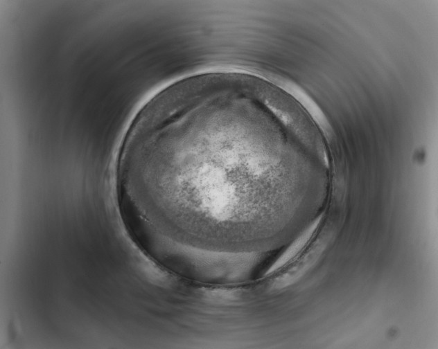 X0000102501004200808221749