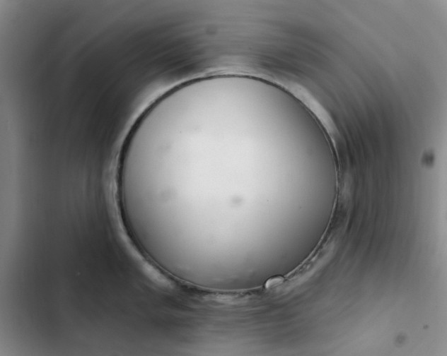 X0000102501005200808221749