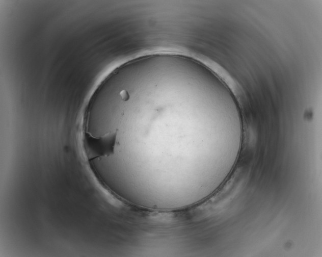 X0000102501006200808221749