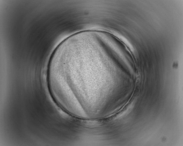 X0000102501007200808221749