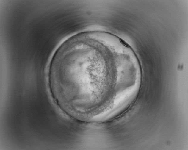 X0000102501008200808221749