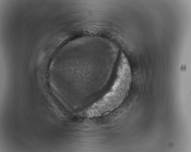 X0000102501009200808221749