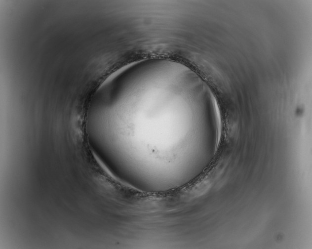 X0000102501010200808221749