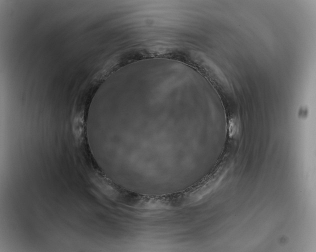 X0000102501011200808221749