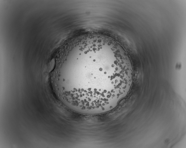 X0000102501012200808221749