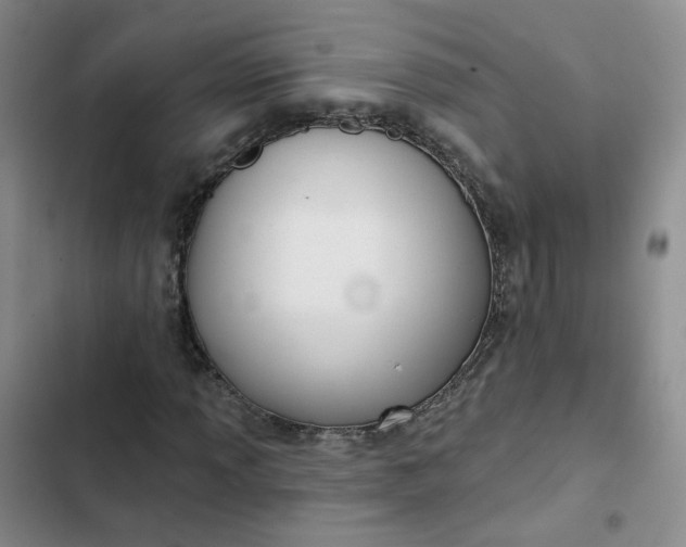 X0000102501013200808221749