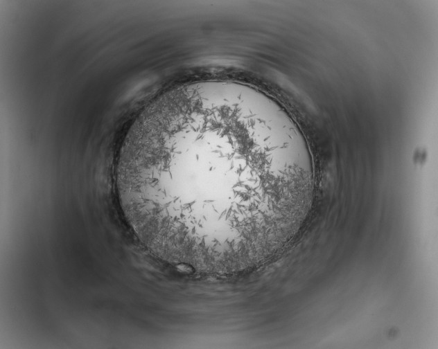 X0000102501014200808221749