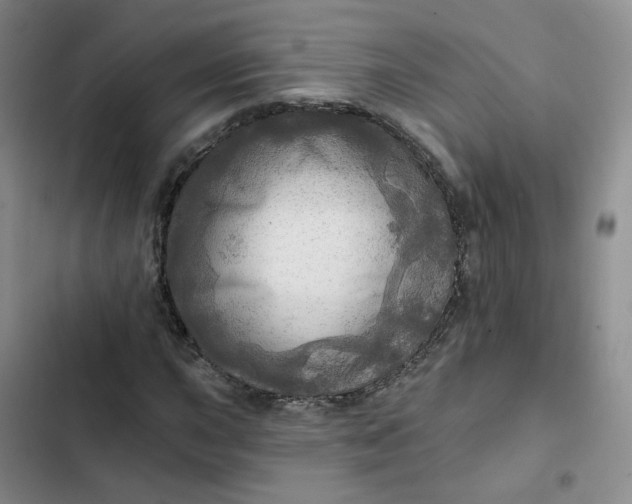 X0000102501015200808221749