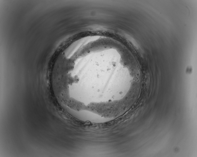 X0000102501016200808221749