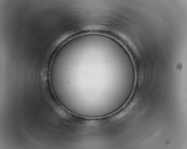 X0000102501017200808221749