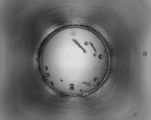 X0000102501018200808221749