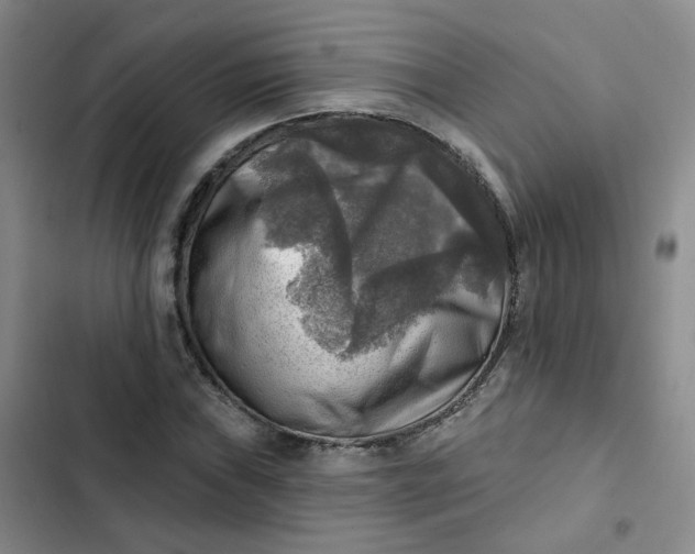 X0000102501019200808221749