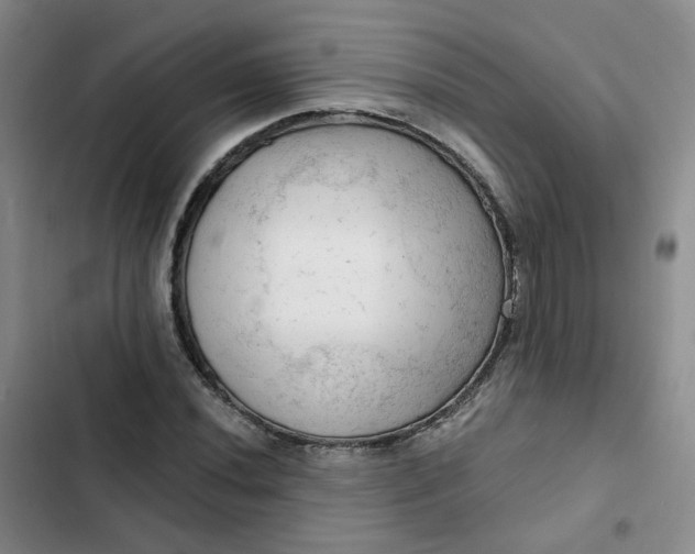 X0000102501020200808221749