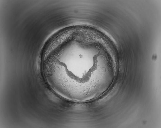 X0000102501021200808221749