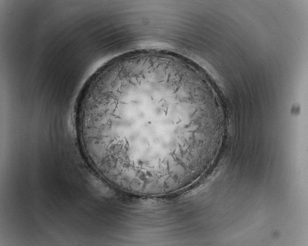 X0000102501022200808221749