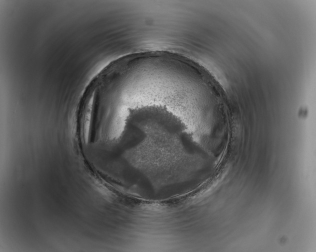 X0000102501023200808221749