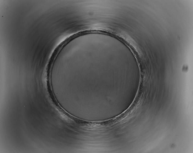 X0000102501024200808221749