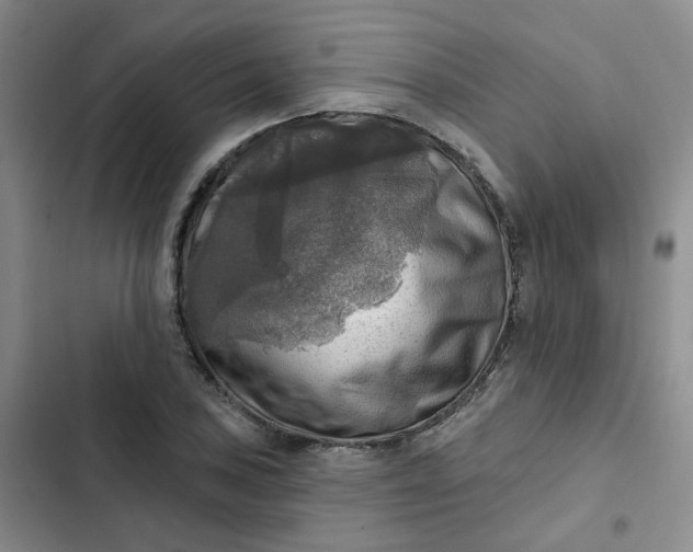 X0000102501027200808221749