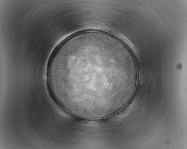 X0000102501028200808221749