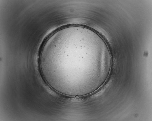 X0000102501029200808221749